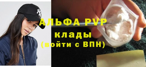 индика Балабаново