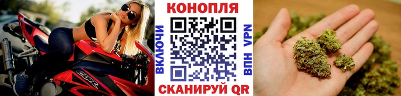 Канабис ГИДРОПОН  Болохово 